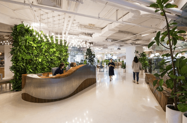 辦公室裝修公司談談室內綠化的重要性